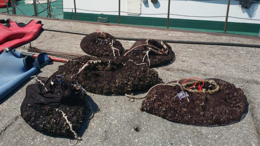 Requisan dos vehículos y casi 40 kilos de percebes a nueve furtivos en el Seixo Branco