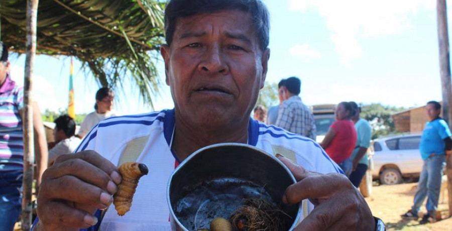 Larvas y hormigas, secretos culinarios de Bolivia