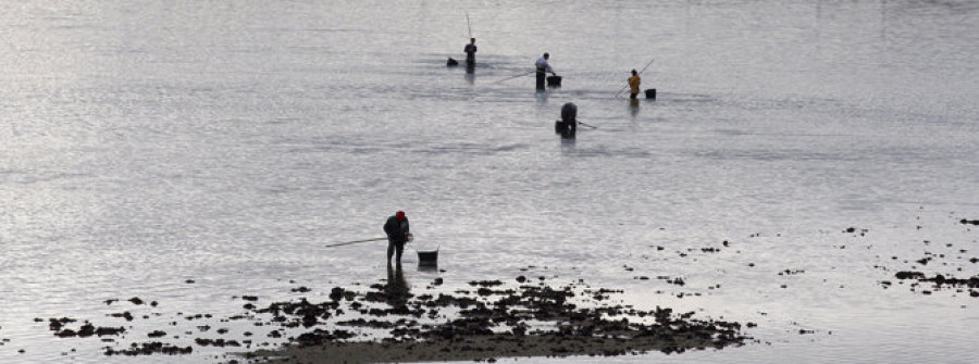 Los mariscadores avisan de que las mareas altas no pararán a los furtivos