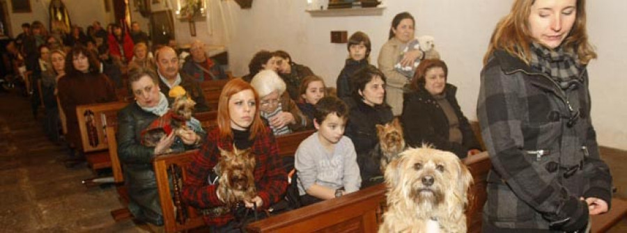 La Orden Tercera acogió la bendición de las mascotas típica de San Antonio Abad