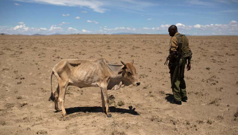 EL Gobierno de Kenia pide ayuda para luchar contra la sequía