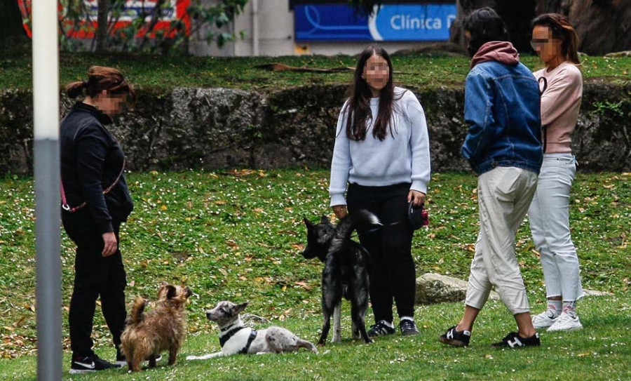 El descenso de asociados por la crisis pone en riesgo la labor de las protectoras de animales