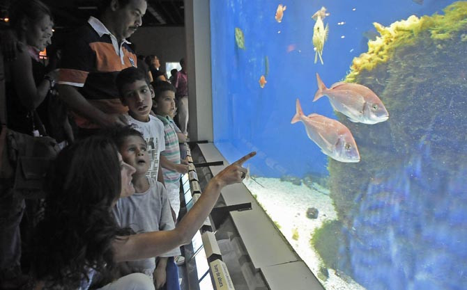 Vendex se queda con el Acuario gracias al respaldo del Oceanográfico de Vigo