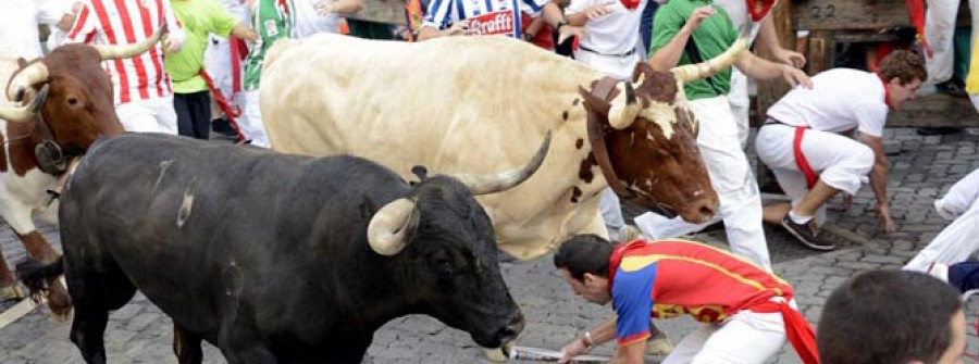 Una carrera muy veloz de los toros de Miura clausura los encierros de 2013