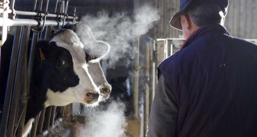 El desempleo en el rural gallego 
se reduce en julio más de un 10%