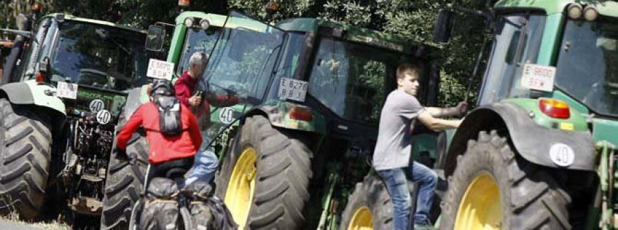 Pronostican la pérdida del 50% de las explotaciones de leche en Galicia