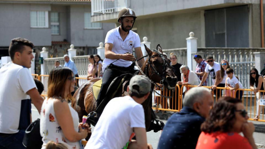 La Festa do Cabalo de Teixeiro cumple veinte años con los “pura raza” más vistosos de Galicia