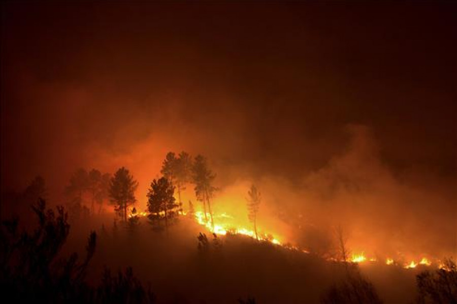 Un incendio forestal arrasa 200 hectáreas en el parque natural de O Xurés