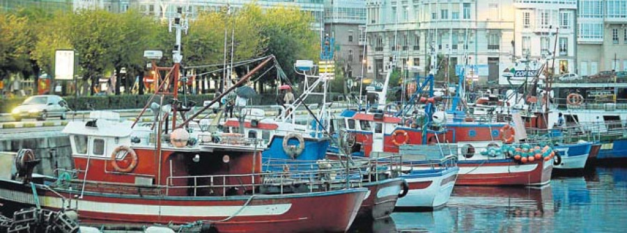El Puerto ha perdido un 16,5% de sus barcos pesqueros en  los últimos ocho ejercicios