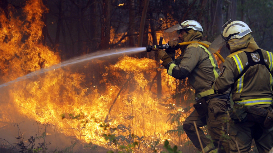 Interrumpida la circulación ferroviaria entre Madrid-Galicia y Zamora-Sanabria AV por un incendio forestal