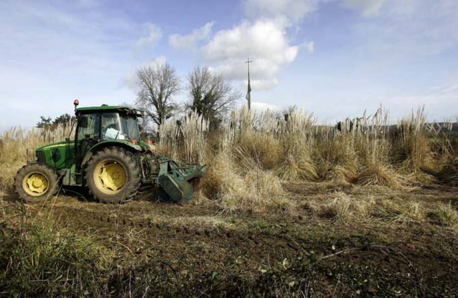 Una niña resulta herida al chocar con su bici contra un tractor que manejaba su madre en Trazo