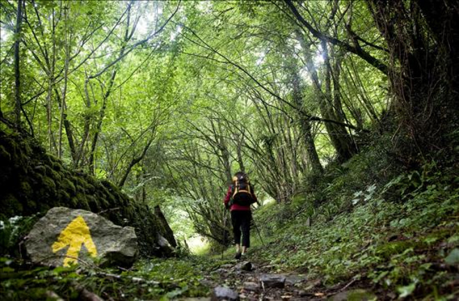 Santiago tomará el relevo a Sahagún con la muestra de compostelas del Camino