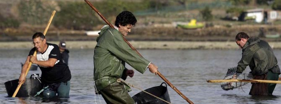 El final de la zona C les devuelve la esperanza a los mariscadores