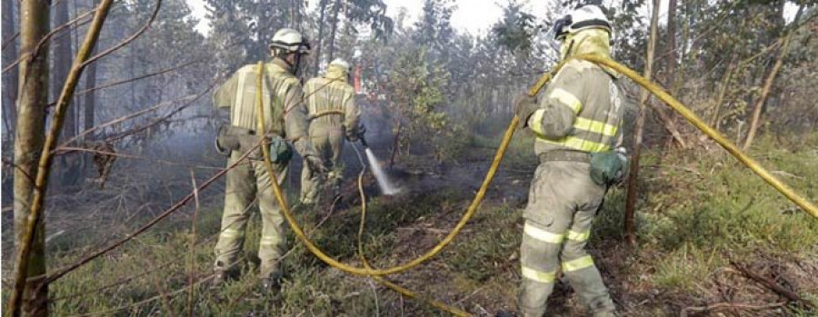 Los brigadistas forestales denuncian una reducción efectivos de más del 15%