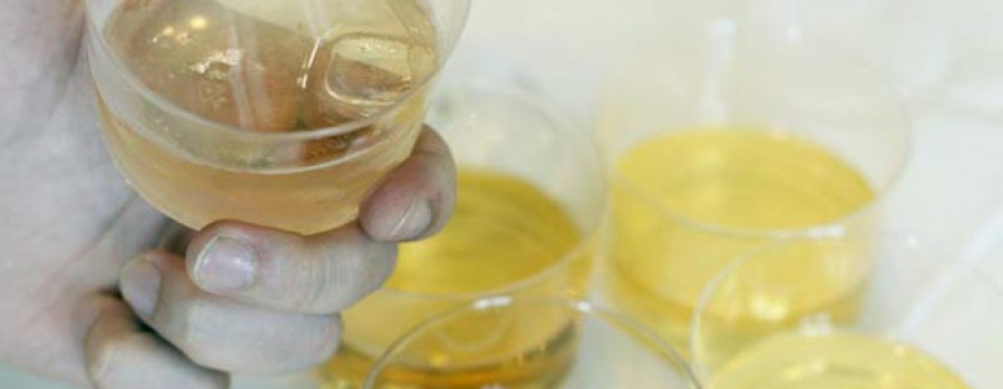 Hijos de Rivera producirá dos millones de litros de siete variedades de sidra