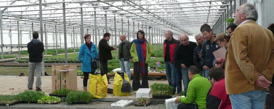 Abegondo estrena un seminario de conservas de frutas y hortalizas