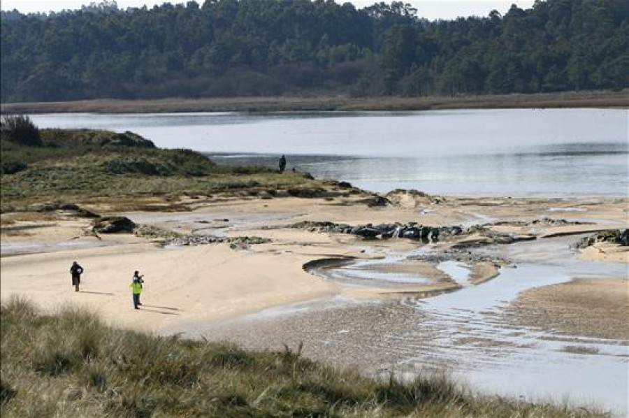 ADEGA asegura que las obras en A Frouxeira "condenan a muerte a la laguna"