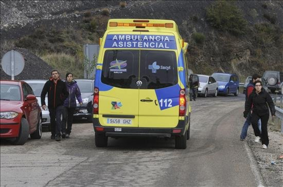 Un herido en Brión al caerle un árbol encima