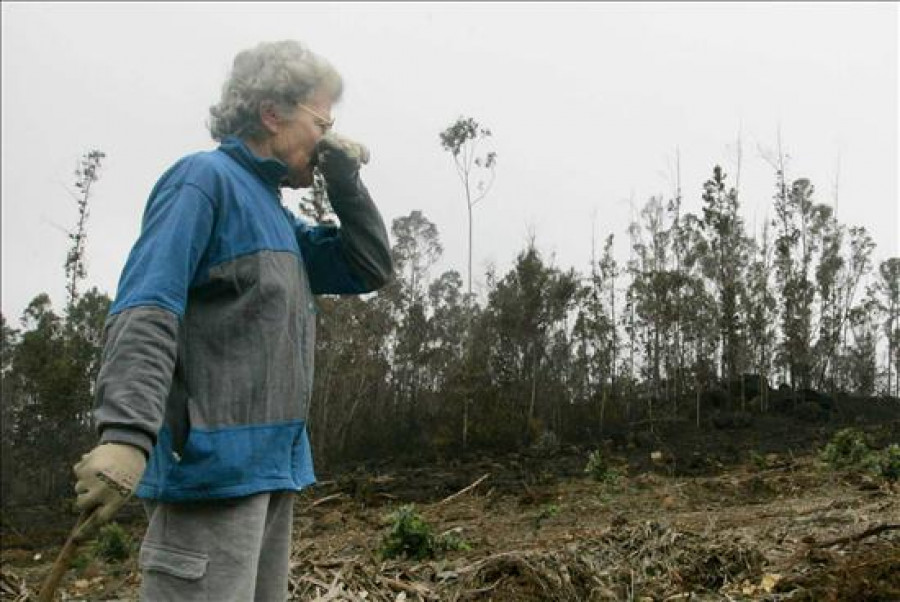 El PSdeG dice que Feijóo "ya tiene su Prestige" por el incendio de Fragas do Eume