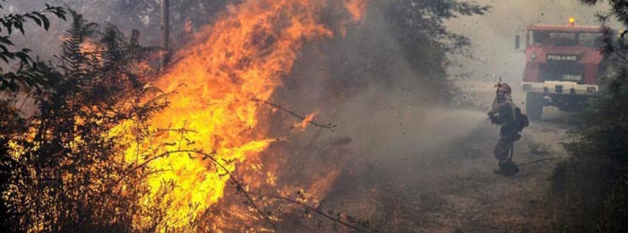 Portugal combate varios grandes incendios forestales en el centro-norte