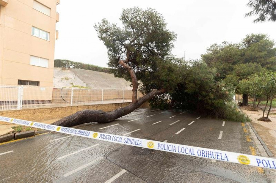 Cuatro rescatados al caer sus coches en una acequia