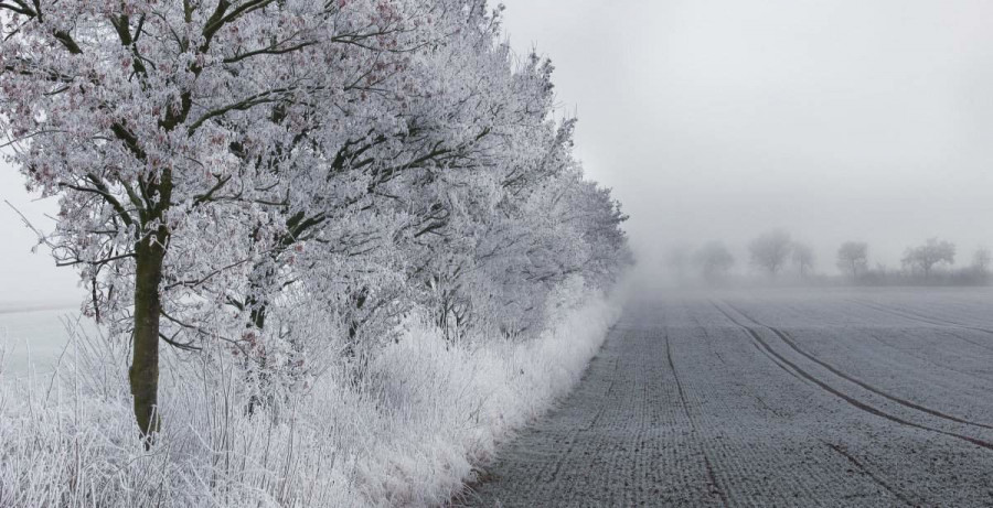 ¿Sabes qué localidad de Galicia registró la temperatura mínima?