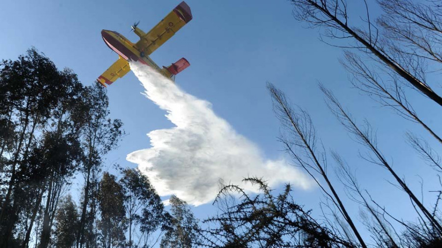 Un incendio forestal calcina diez hectáreas y amenaza A Zapateira