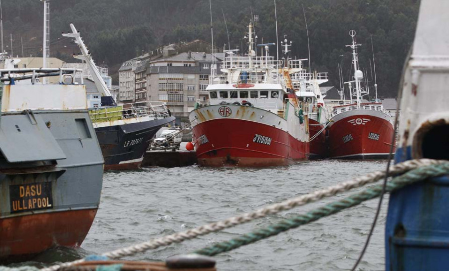 Bruselas prohibirá la pesca de arrastre en el 30% de las aguas comunitarias a partir de 2030