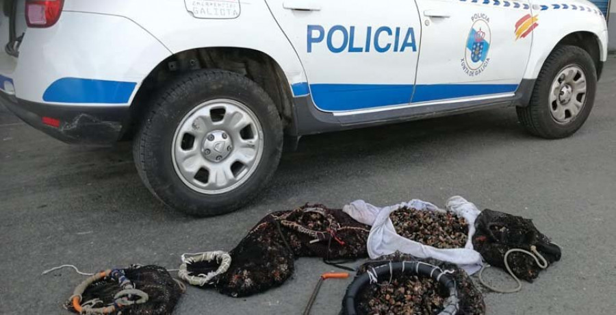 La Policía Autonómica y los Guardacostas se incautan 
de casi 40 kilos de percebe