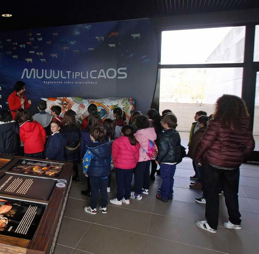 Los Museos Científicos coruñeses reabren sus puertas a los grupos de centros educativos