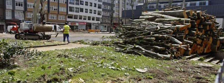 Medio Ambiente justifica la tala de los árboles en As Conchiñas por su bajo valor