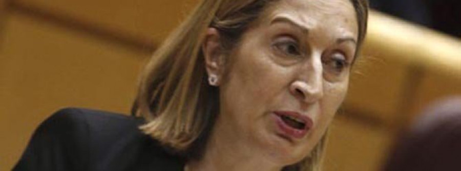 La ministra de Fomento opina que los que hablan de parar el AVE están “metiendo la pata”