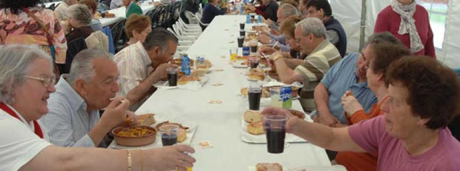 La jibia estará presente en una docena de locales, que cocinarán 20 platos distintos