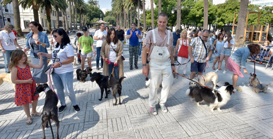 Más de cuarenta amantes de los perros se  dieron cita en los jardines de Méndez Núñez