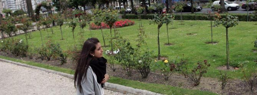 Adjudican el proyecto para remodelar la rosaleda de Méndez Núñez por 15.000 euros