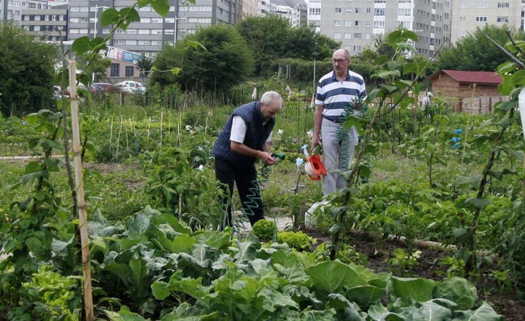 El Ayuntamiento de A Coruña habilitará 87 nuevos huertos urbanos en el parque Adolfo Suárez del Agra