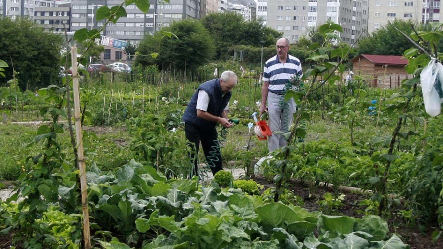 El Ayuntamiento de A Coruña habilitará 87 nuevos huertos urbanos en el parque Adolfo Suárez del Agra