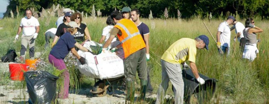 Distintos proyectos limpian los ríos de la comarca con la ayuda de los voluntarios