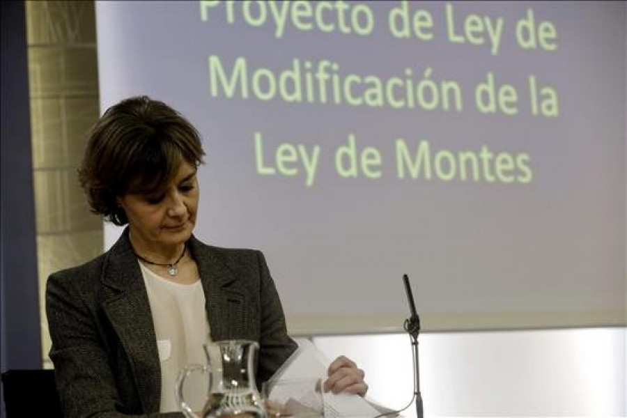 Tejerina destaca que la nueva Ley de Montes será fuente de empleo y riqueza rural