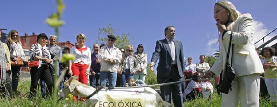 Oleiros denuncia que Fomento pone en peligro a los peatones