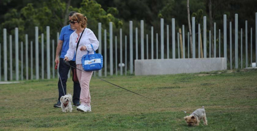 Los usuarios del área canina de Eirís se quejan de que el firme de hierba es inadecuado