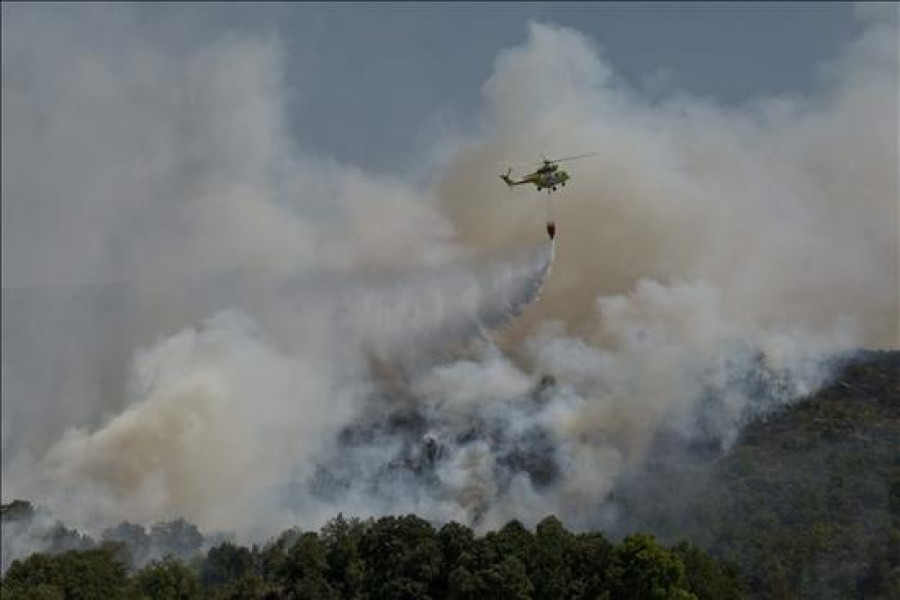El incendio de Tomiño afectó a petroglifos y la alcaldesa cree que fue intencionado