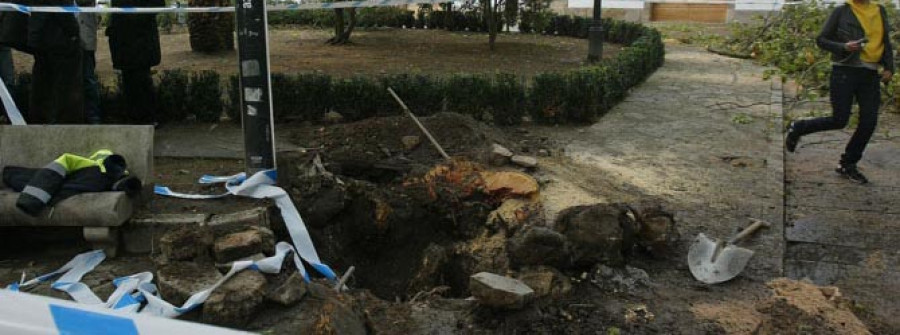 Un árbol de veinte metros se desploma  sobre una casa en la plaza de Azcárraga