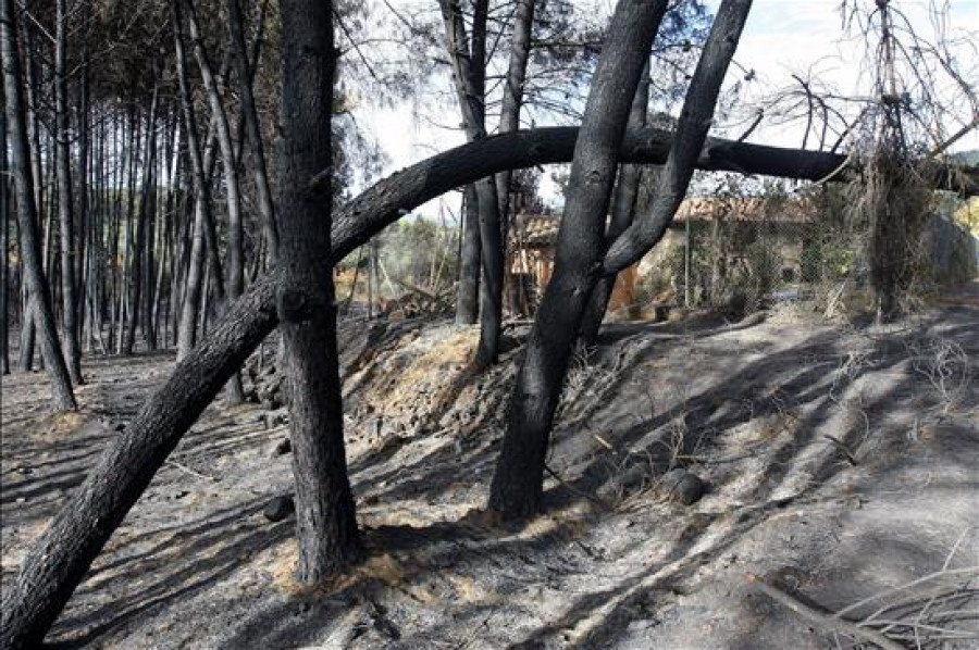 Más 350 efectivos y 15 medios aéreos trabajan contra el fuego en Cáceres