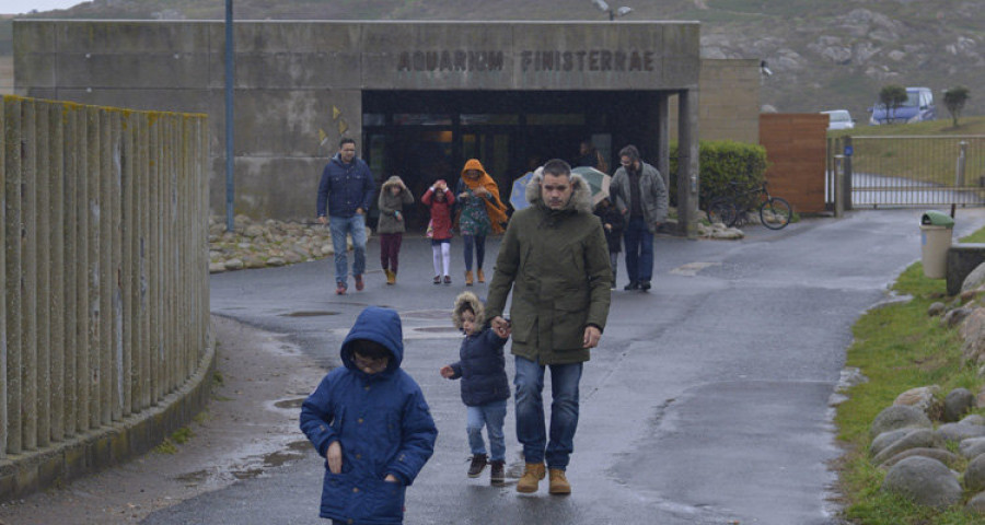 Cientos de coruñeses se acercan a los Museos Científicos en una jornada de puertas abiertas