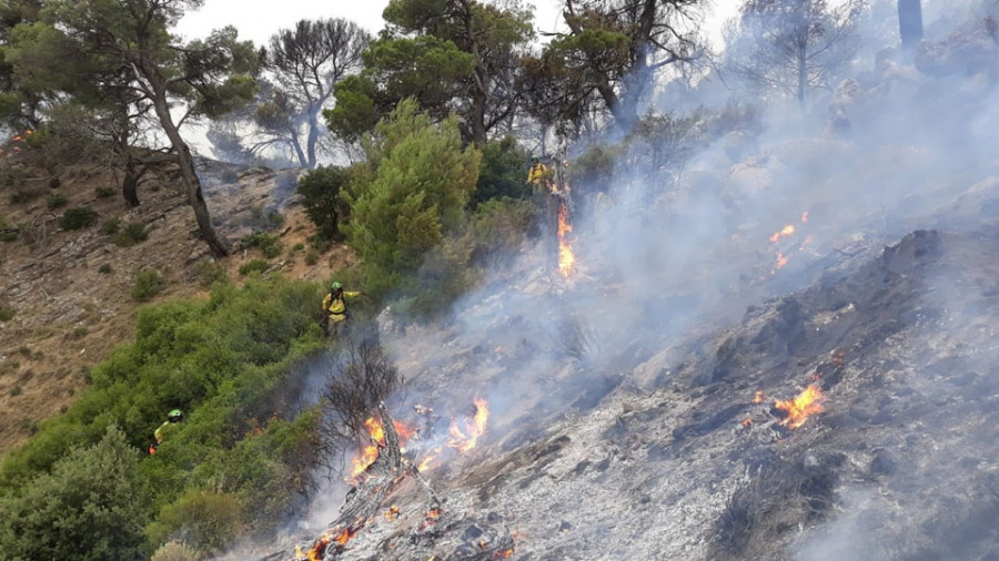 La caída de una rama sobre una línea eléctrica provocó un incendio de 100 metros cuadrados en O Pino