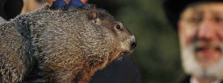 La marmota Phil pronostica seis semanas más de invierno