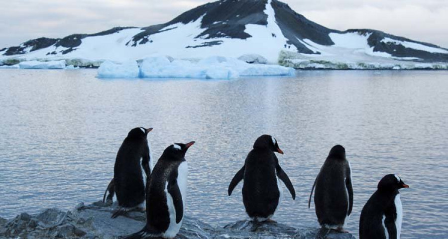 Prueban que  hubo grandes lagos en el subsuelo de la Antártida