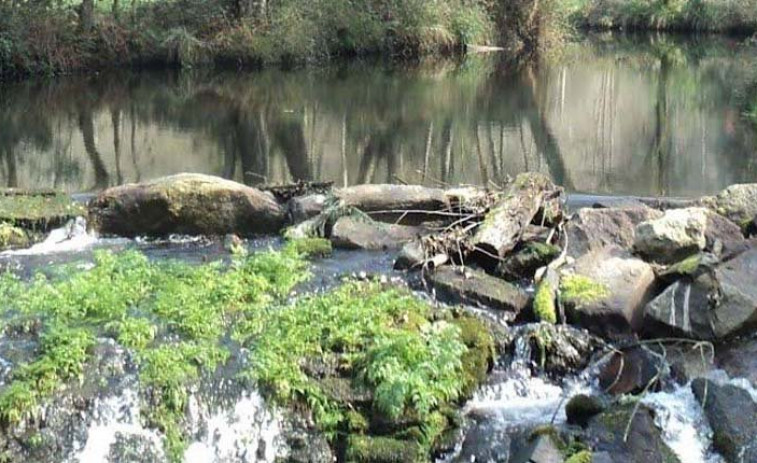 La Xunta afirma que no existen indicios que acrediten vertidos contaminantes al río Mendo
