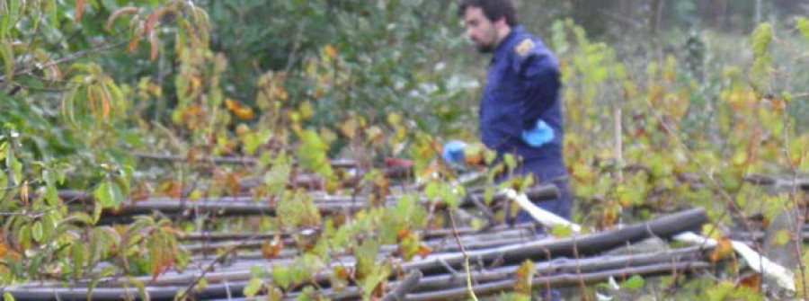 Hallan en una viña al lado de su domicilio el esqueleto de un vecino de Ribeira desaparecido